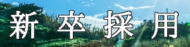 リテラクレア証券の新卒採用特設ページ