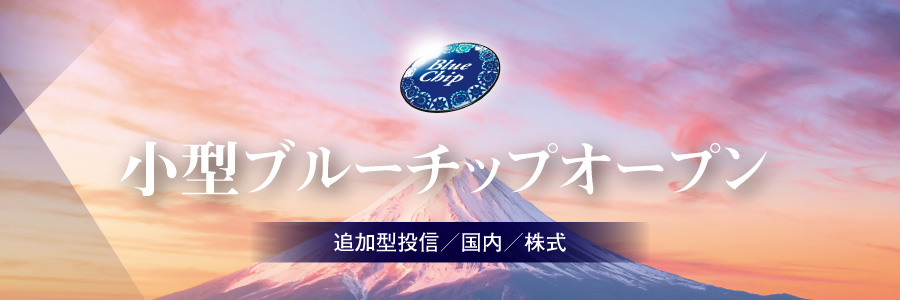小型ブルーチップオープン